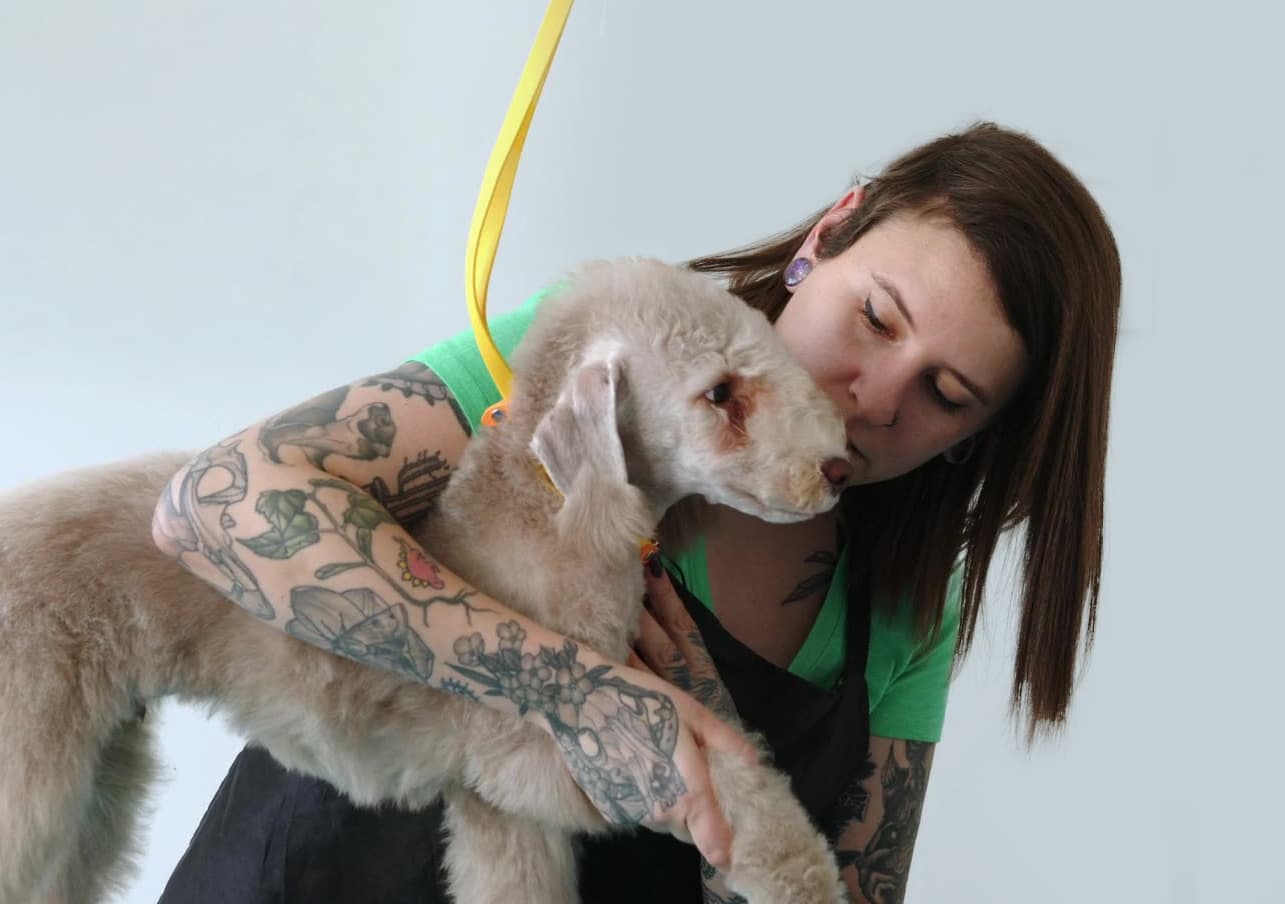 Groomer Nadia Bongelli harnessing an elderly dog in a sling.