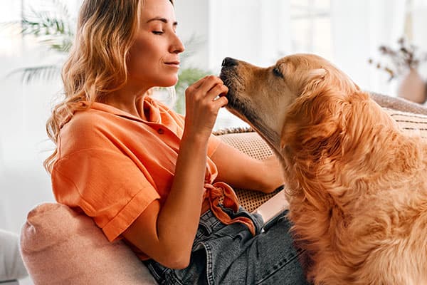 Dog owner hugging a golden retriever