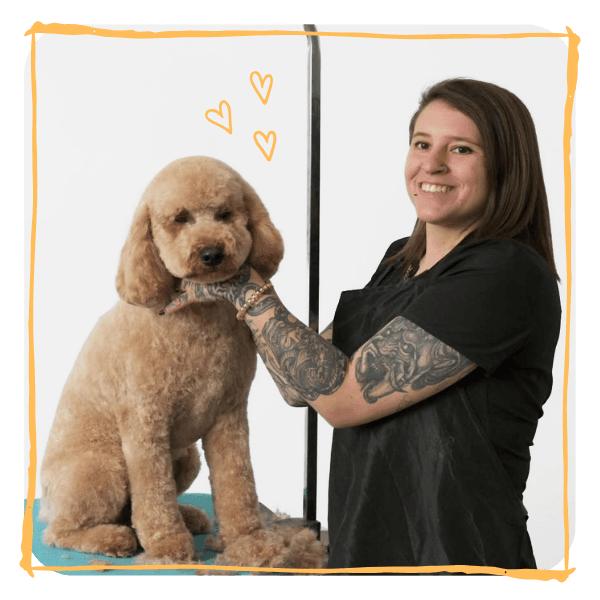 Nadia Bongelli uses clippers on a Goldendoodle.