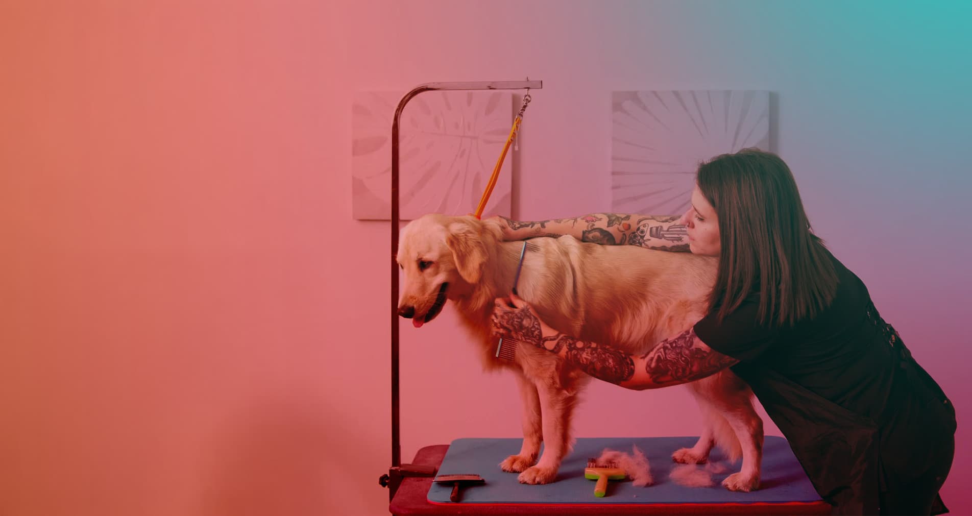 Course hero background