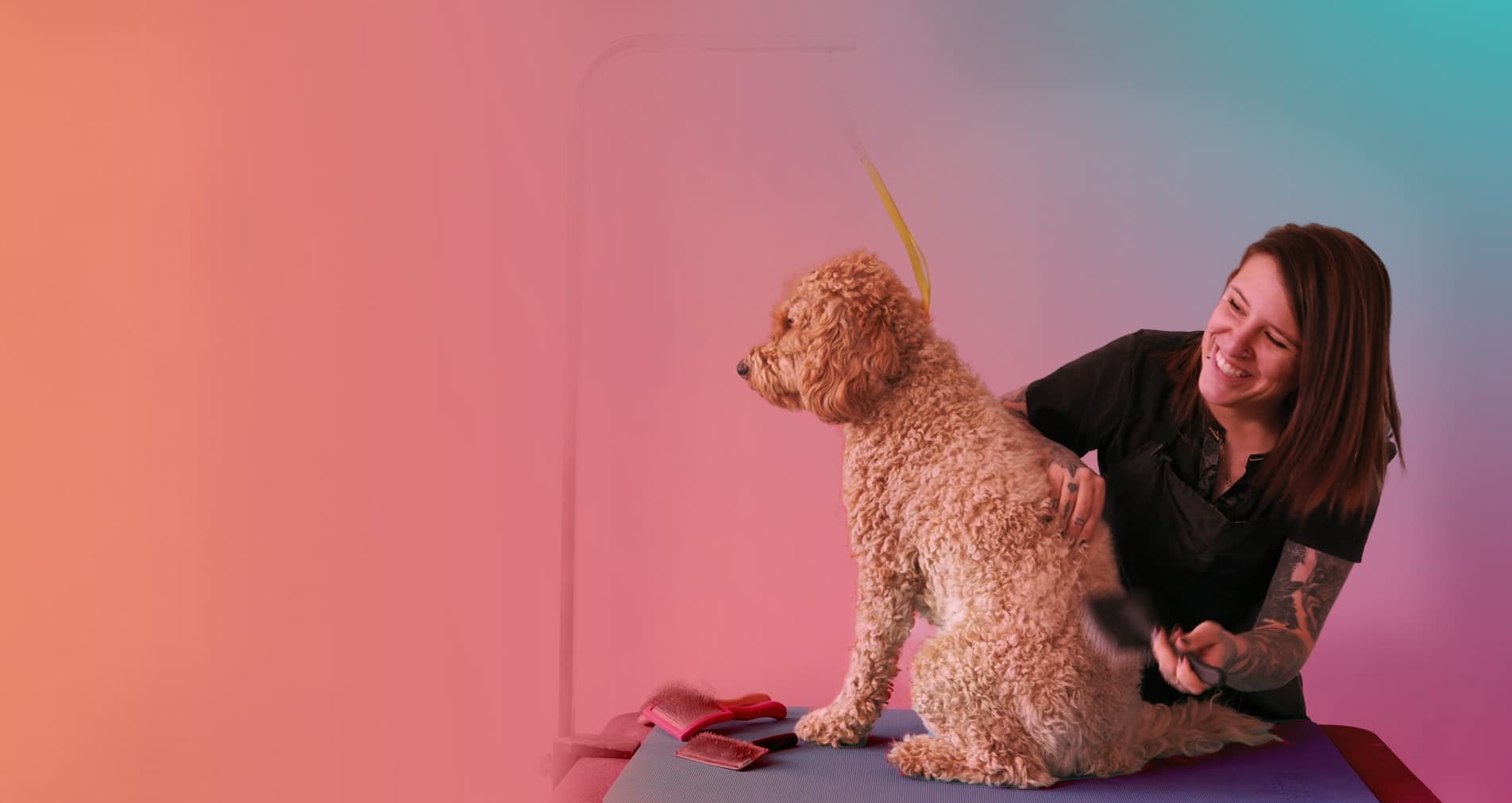 Course hero background