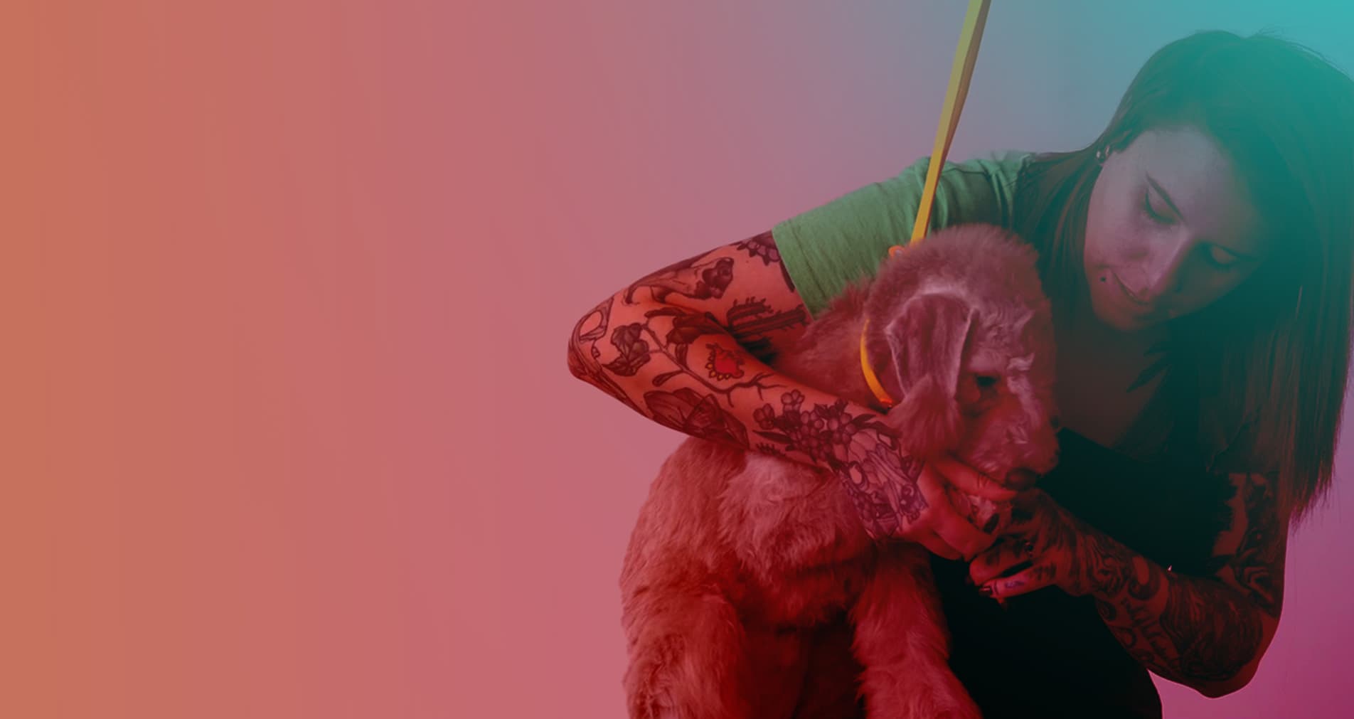 Course hero background