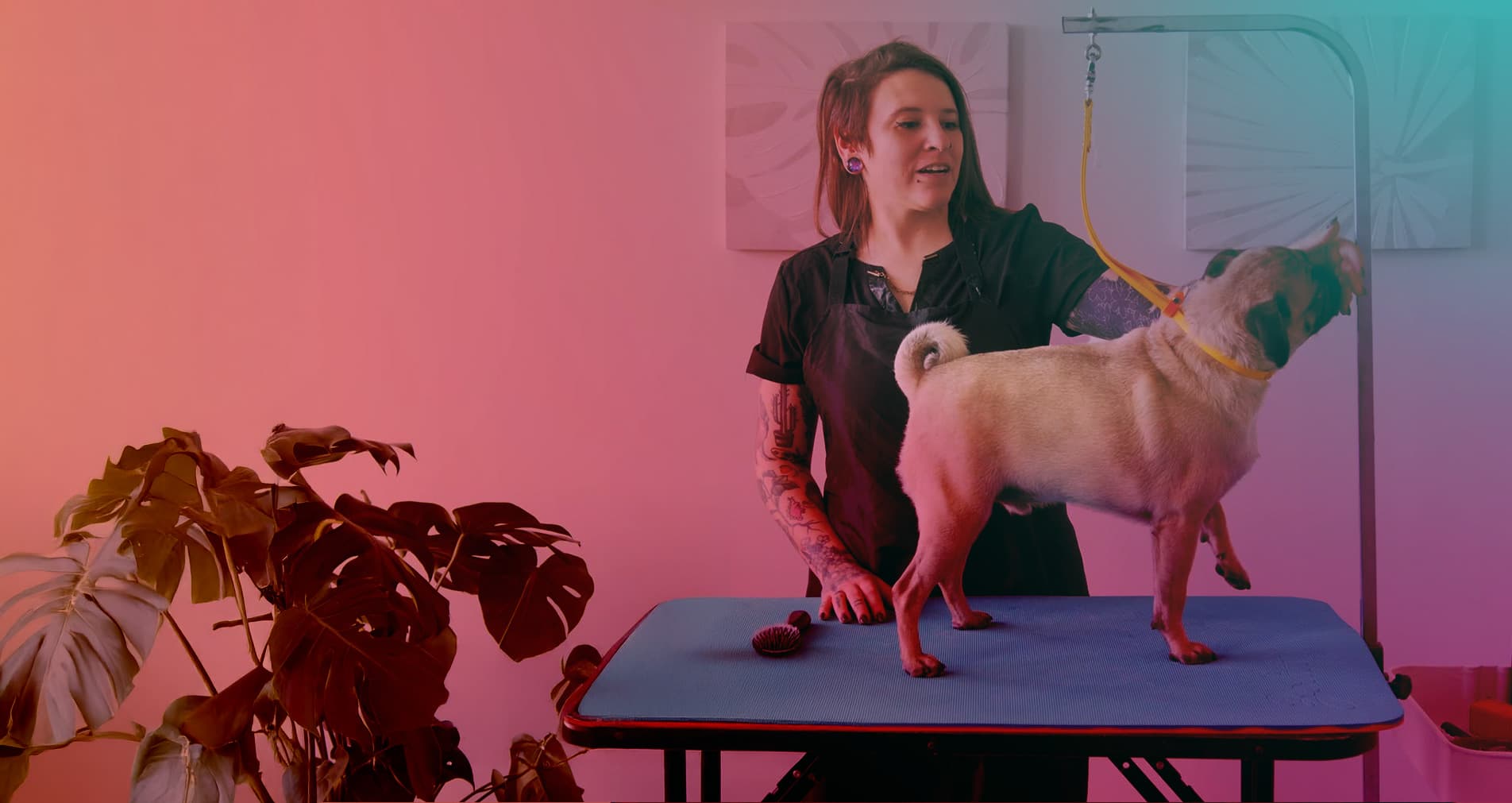 Course hero background