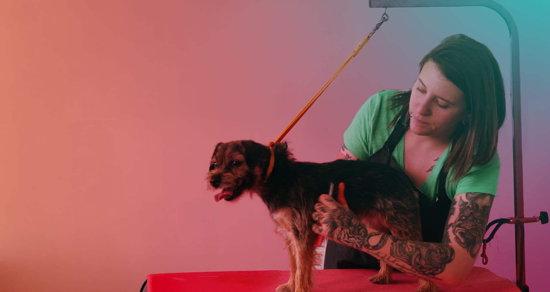 Course hero background