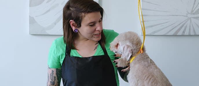 Module 1 - Introduction to Positive Grooming