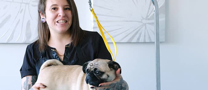 Module 1 - Grooming Basics