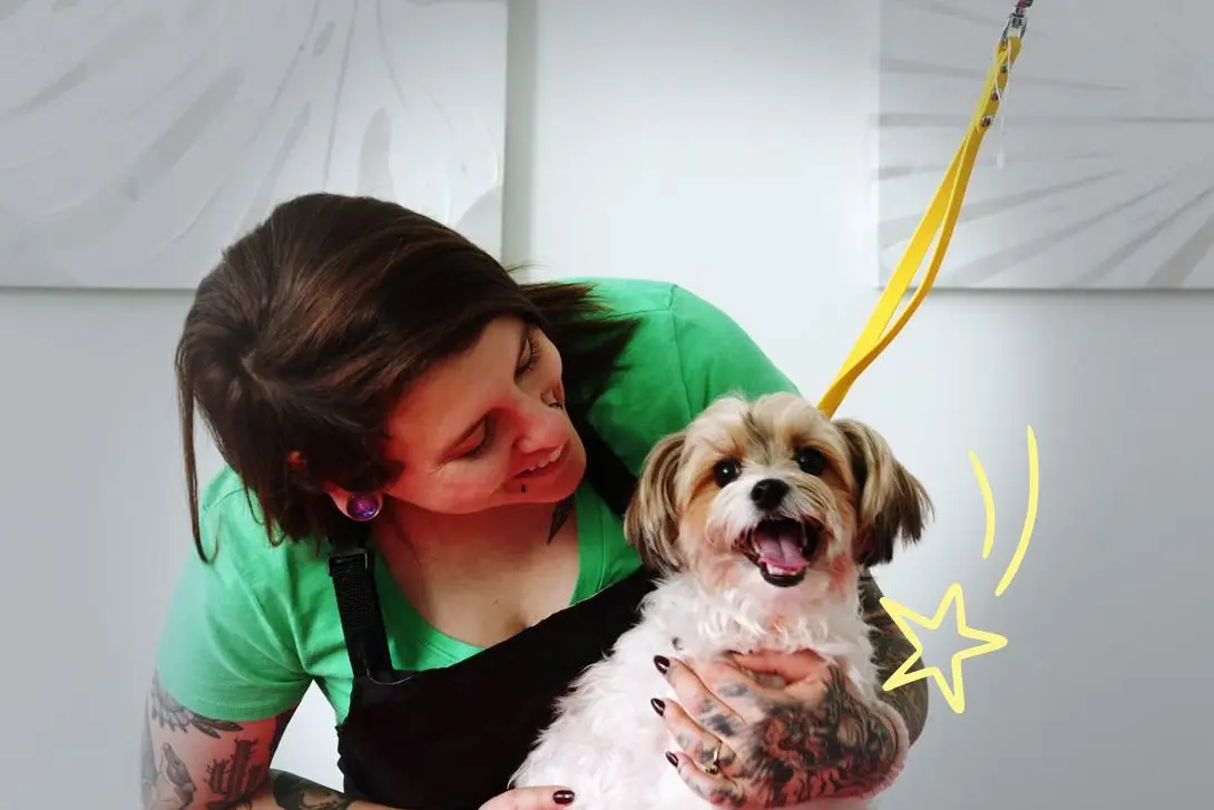 Grooming expert Nadia Bongelli smiling at Pepe the biewer terrier.