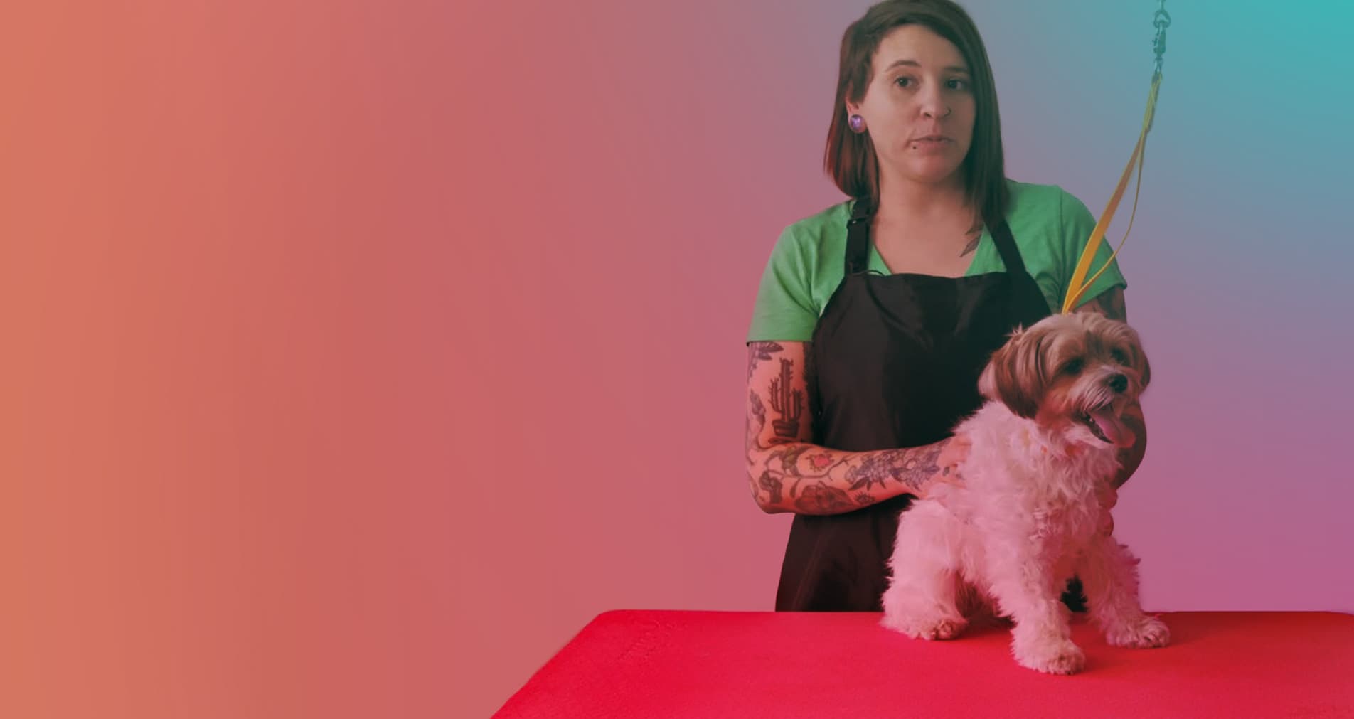 Course hero background