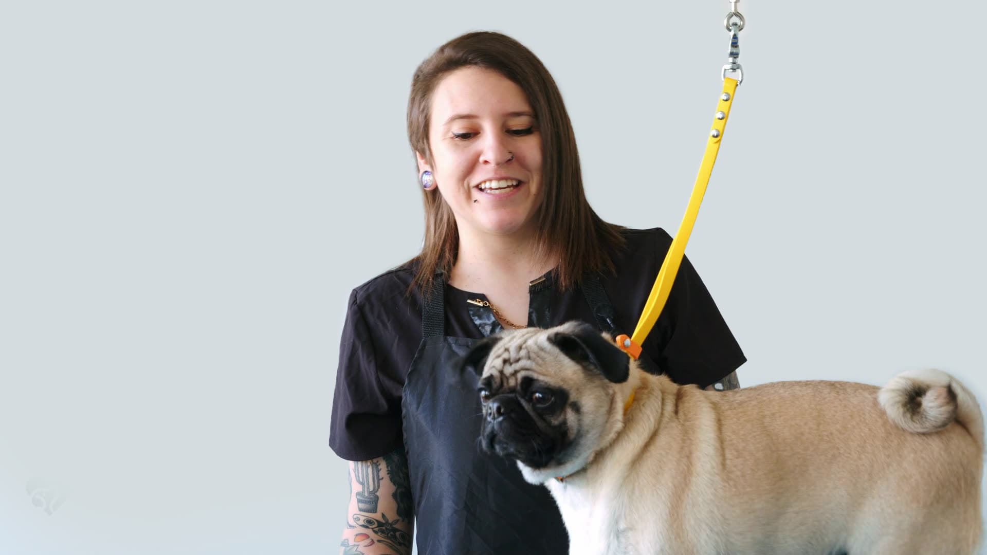 Chumley the Pug with Nadia Bongelli