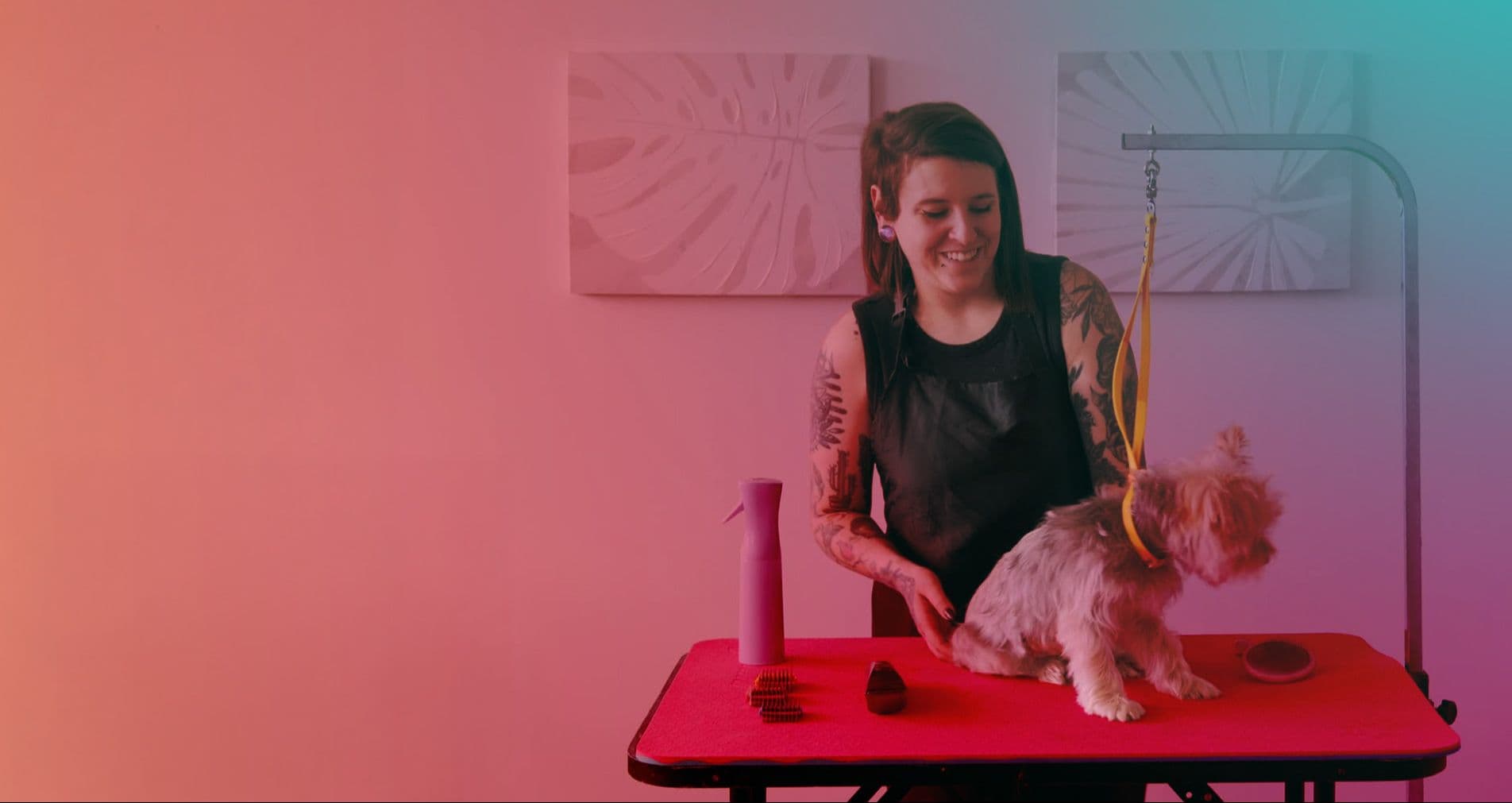 Course call-to-action background